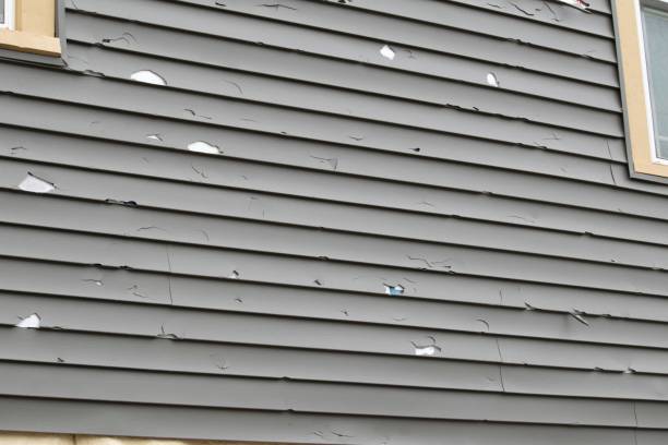 Siding Removal and Disposal in Frisco, CO